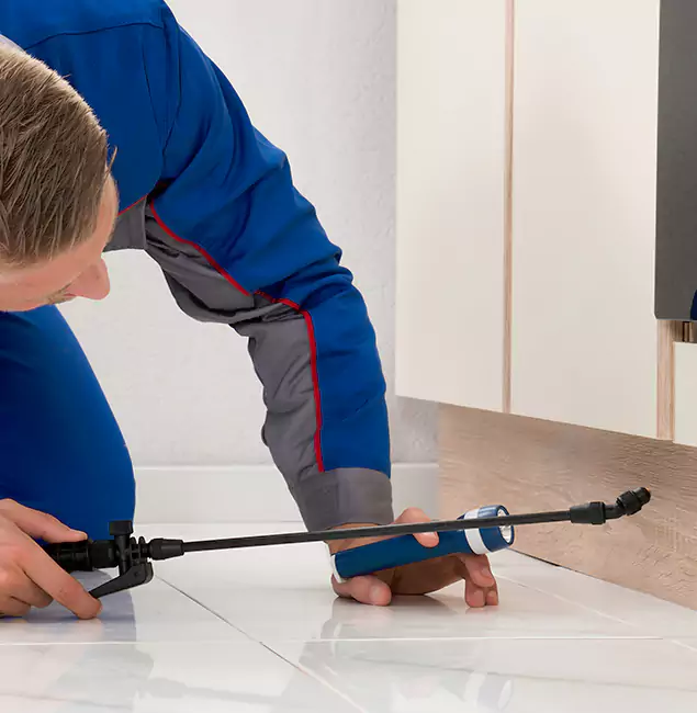 Why Nampa Residents Choose Nampa Pest Control Pro to Get Rid of Sugar Ants?