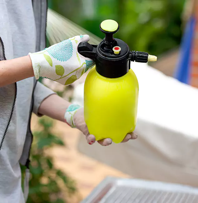 Why Choose Us: Nampa Pest Control Pro Termite Spraying Experts in Nampa, ID?