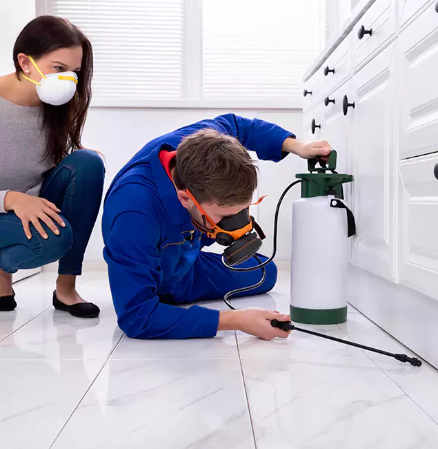 Why Choose Wood Termite Treatment by Nampa Pest Control Pro in Nampa, ID?