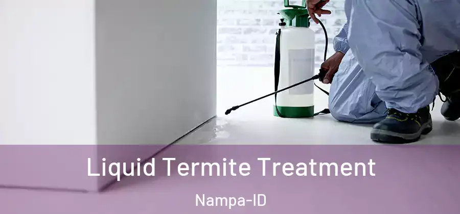 Liquid Termite Treatment Nampa-ID