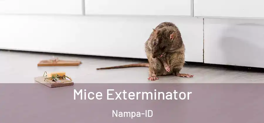 Mice Exterminator Nampa-ID