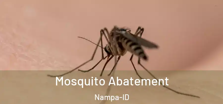 Mosquito Abatement Nampa-ID