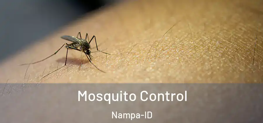  Mosquito Control Nampa-ID