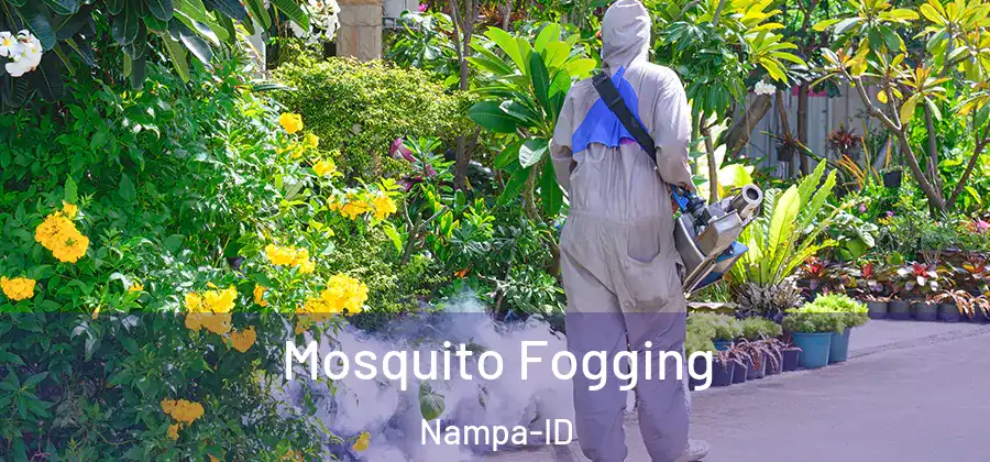 Mosquito Fogging Nampa-ID