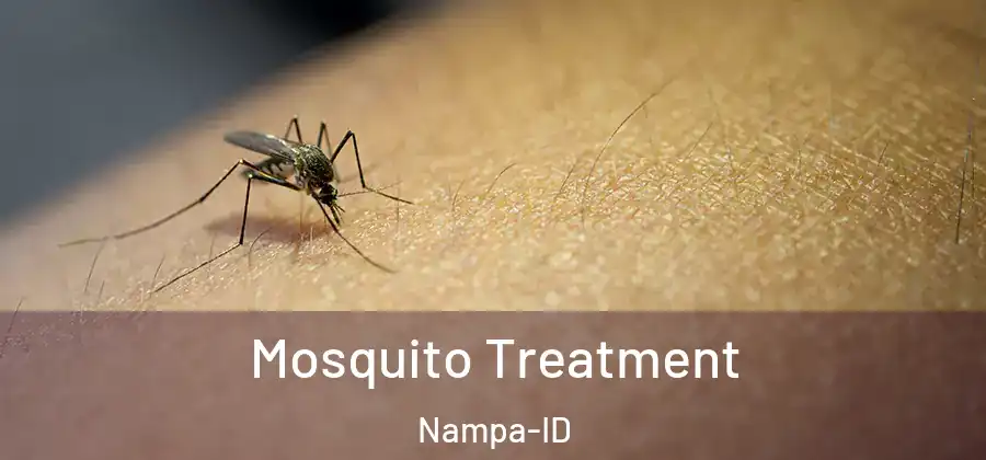  Mosquito Treatment Nampa-ID