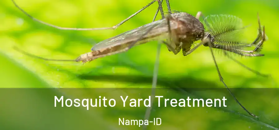  Mosquito Yard Treatment Nampa-ID