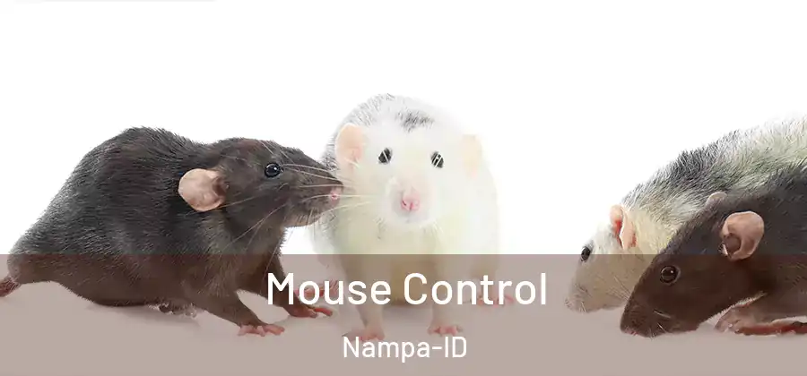  Mouse Control Nampa-ID
