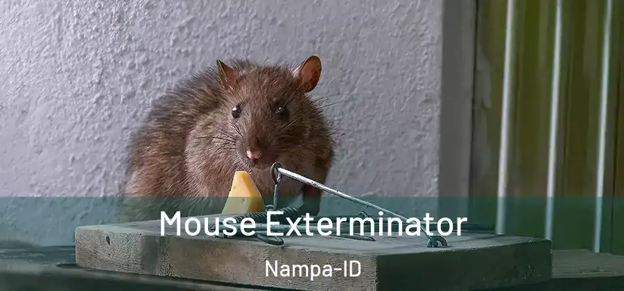  Mouse Exterminator Nampa-ID