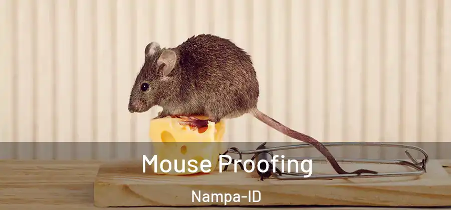  Mouse Proofing Nampa-ID