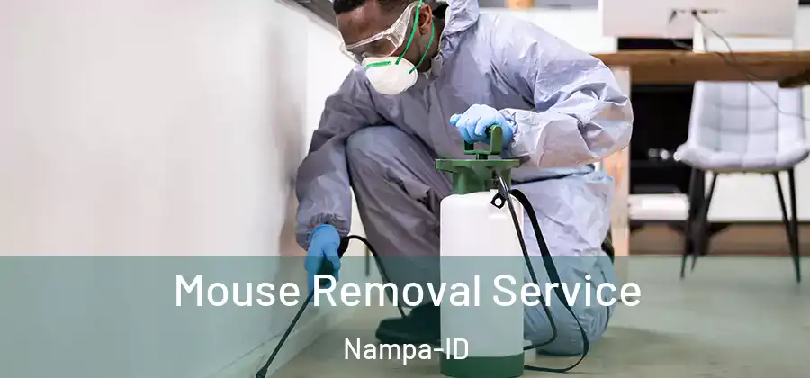 Mouse Removal Service Nampa-ID