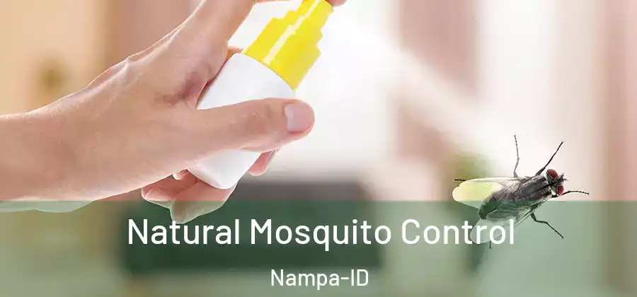 Natural Mosquito Control Nampa-ID