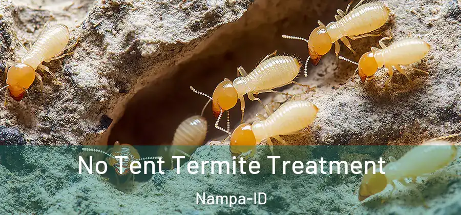 No Tent Termite Treatment Nampa-ID