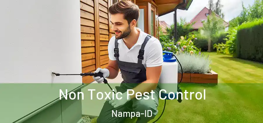 Non Toxic Pest Control Nampa-ID