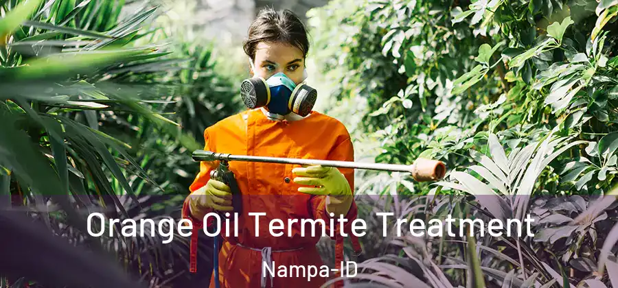 Orange Oil Termite Treatment Nampa-ID
