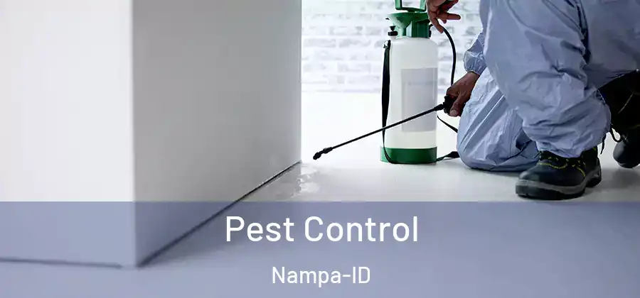  Pest Control Nampa-ID