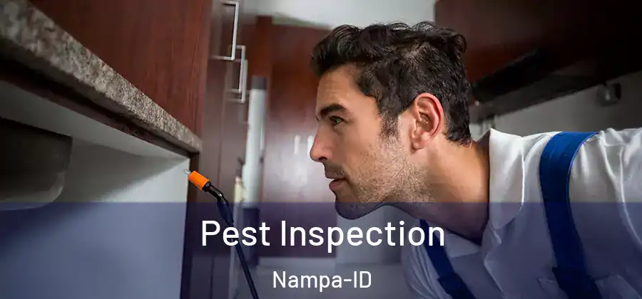 Pest Inspection Nampa-ID