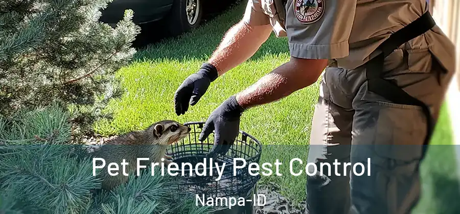 Pet Friendly Pest Control Nampa-ID