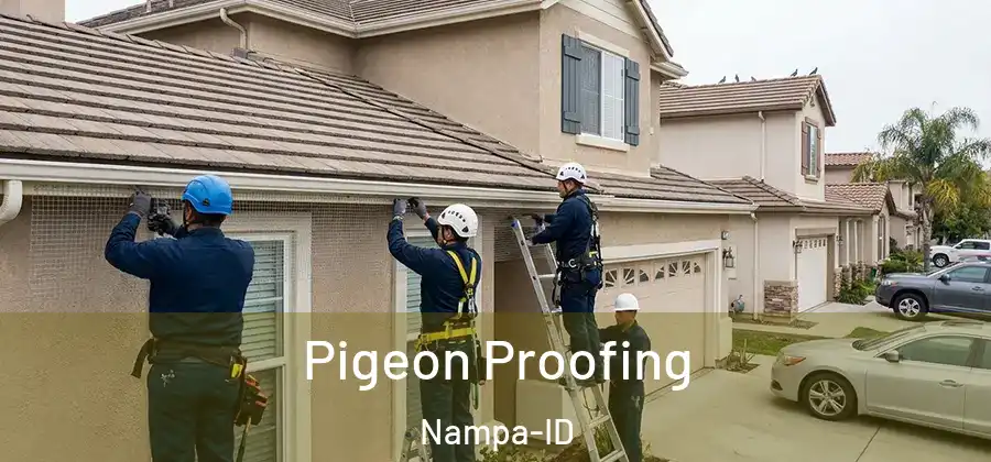 Pigeon Proofing Nampa-ID