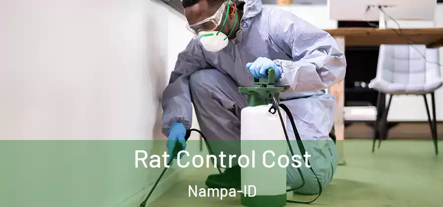 Rat Control Cost Nampa-ID