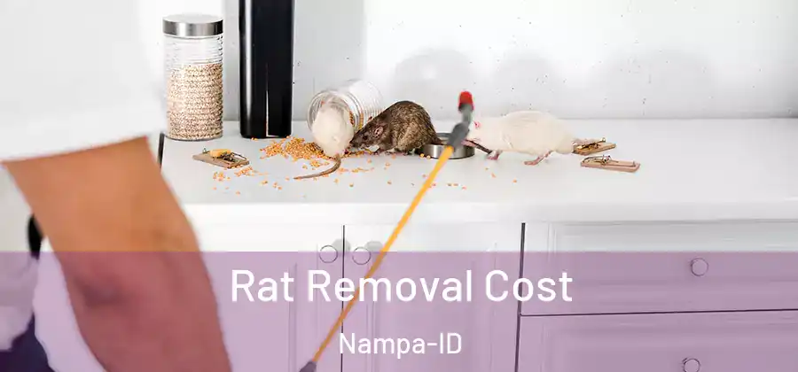 Rat Removal Cost Nampa-ID