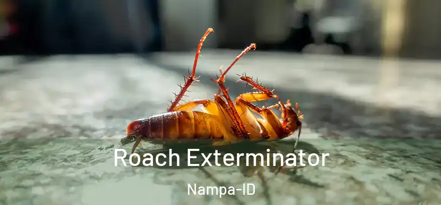  Roach Exterminator Nampa-ID
