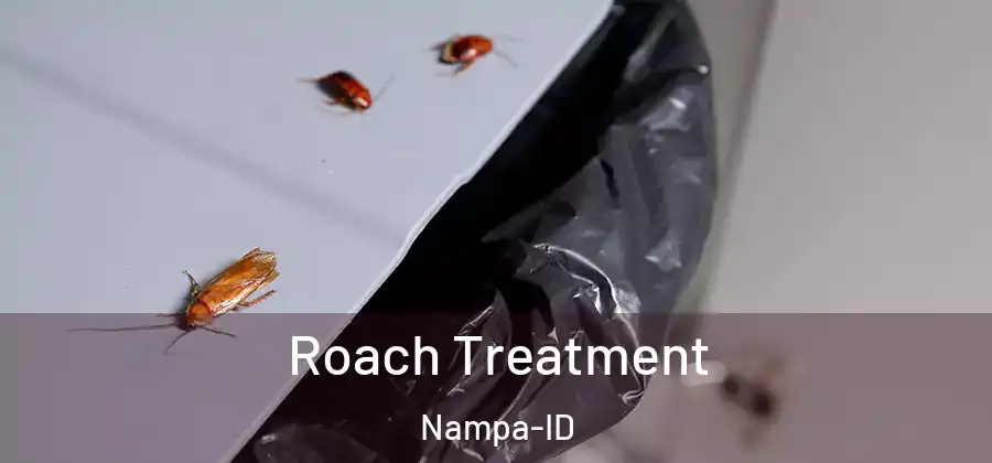 Roach Treatment Nampa-ID