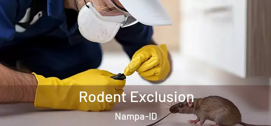 Rodent Exclusion Nampa-ID
