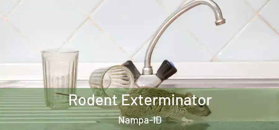 Rodent Exterminator Nampa-ID