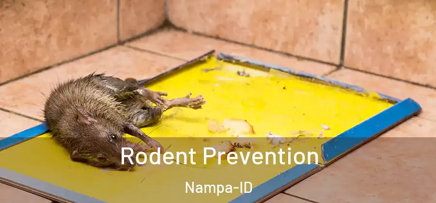Rodent Prevention Nampa-ID