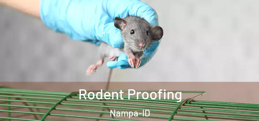  Rodent Proofing Nampa-ID