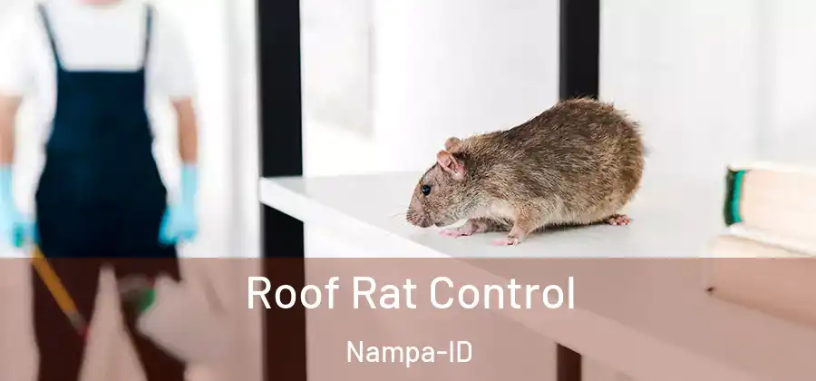  Roof Rat Control Nampa-ID