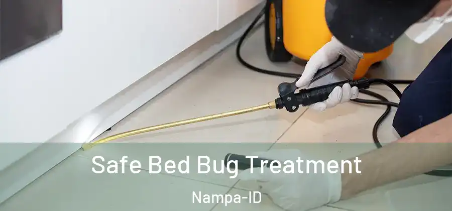 Safe Bed Bug Treatment Nampa-ID