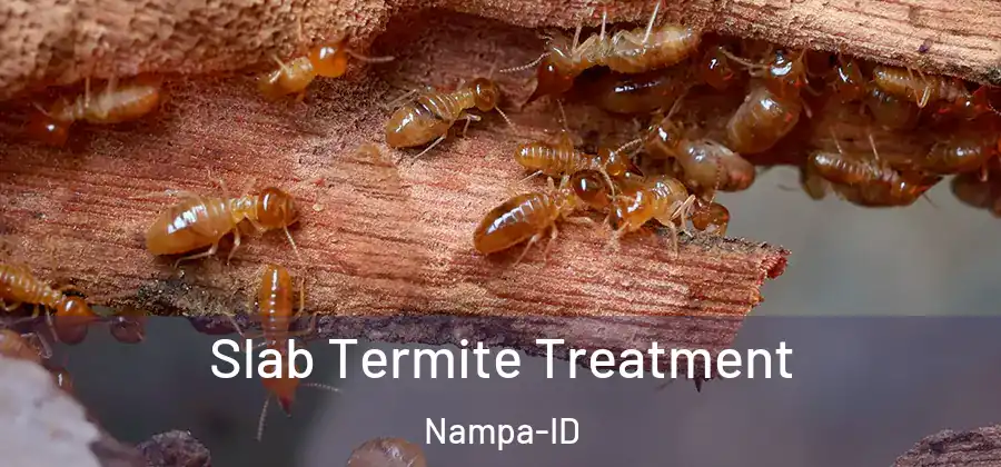 Slab Termite Treatment Nampa-ID