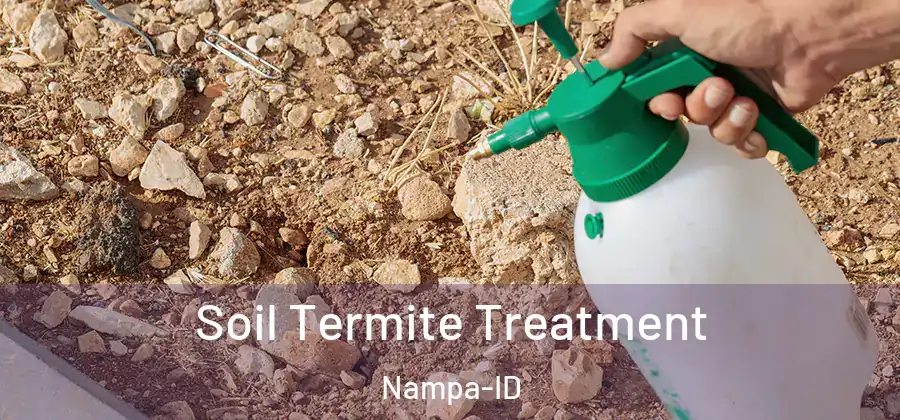 Soil Termite Treatment Nampa-ID