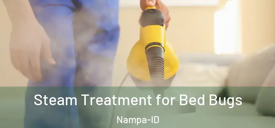  Steam Treatment for Bed Bugs Nampa-ID