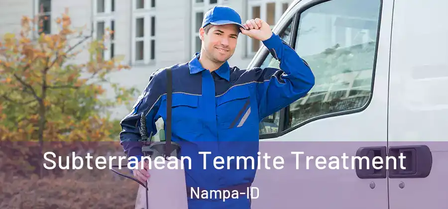 Subterranean Termite Treatment Nampa-ID