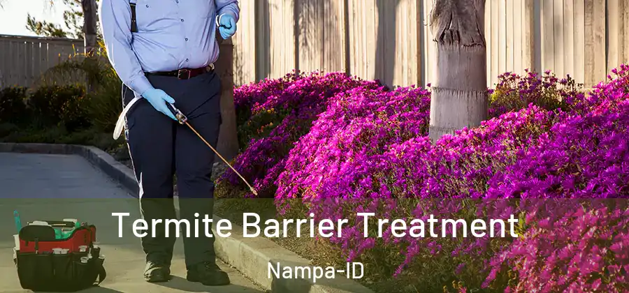  Termite Barrier Treatment Nampa-ID