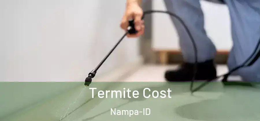 Termite Cost Nampa-ID