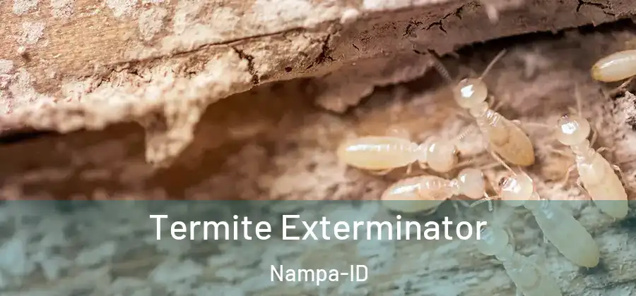 Termite Exterminator Nampa-ID