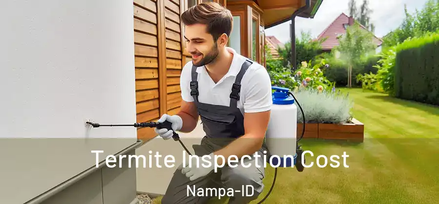 Termite Inspection Cost Nampa-ID