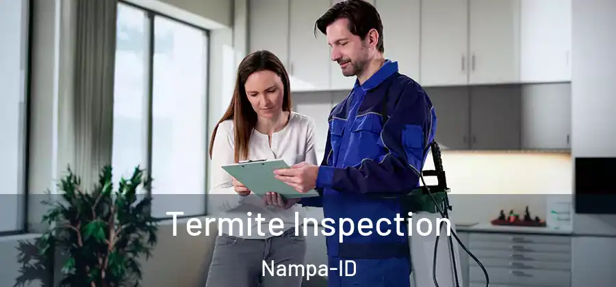 Termite Inspection Nampa-ID