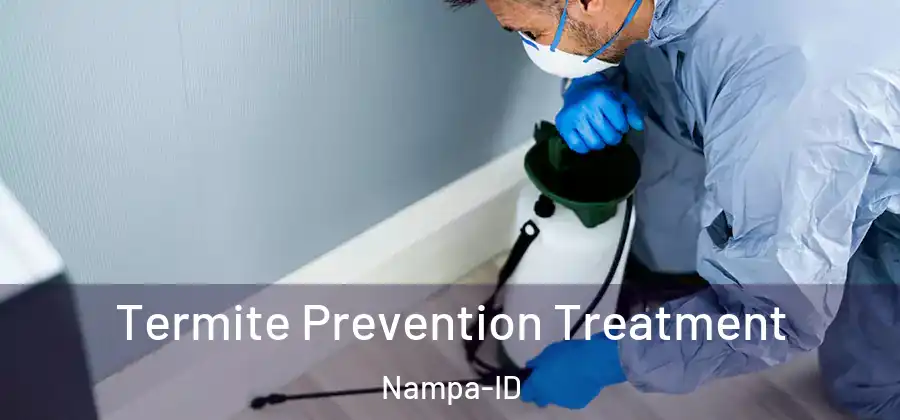Termite Prevention Treatment Nampa-ID