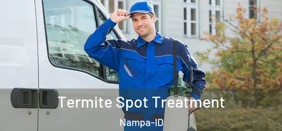 Termite Spot Treatment Nampa-ID