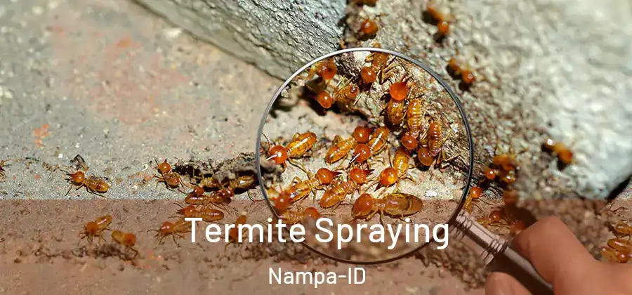  Termite Spraying Nampa-ID