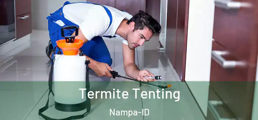 Termite Tenting Nampa-ID