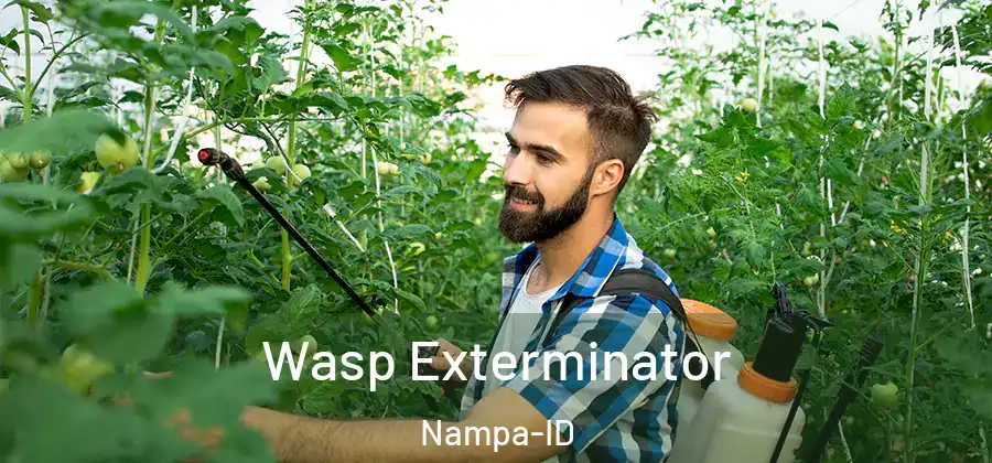  Wasp Exterminator Nampa-ID