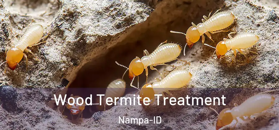 Wood Termite Treatment Nampa-ID
