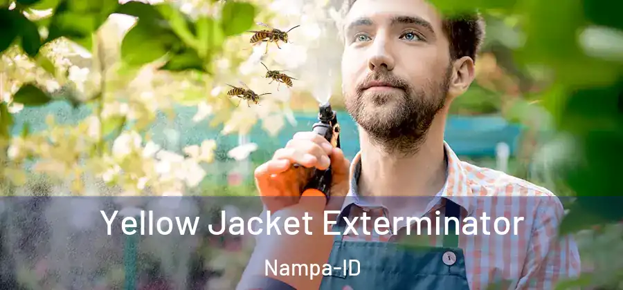  Yellow Jacket Exterminator Nampa-ID